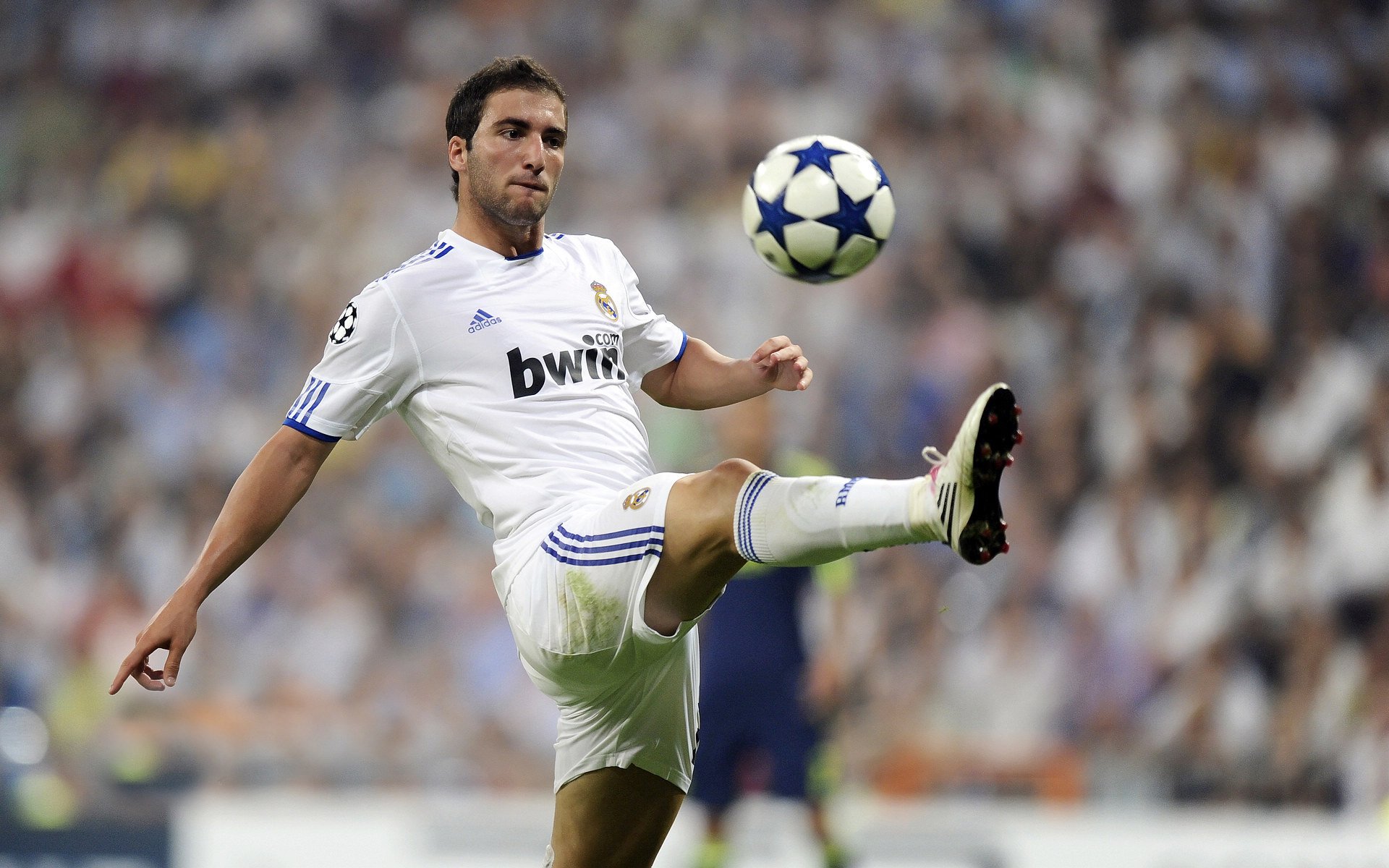 当岭南醒狮遇见北美狼嚎,锡安用暴力美学撕裂篮球次元壁